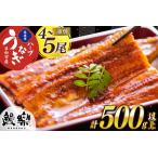 ふるさと納税 うなぎ 国産 宮崎 蒲焼 ハーブ 4?5尾 計500g以上 [452061199] うなぎ 宮崎県日向市