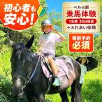 乗馬体験券 ふれあい 30分程度の乗馬 1名分