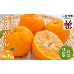 果物 くだものフルーツ みかん ミカン 柑橘