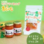 あんず ジャム 2本組 干しあんず 半生 40g