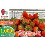 2回定期便 新鮮いちご〈品種:紅ほっぺ〉 約1kg