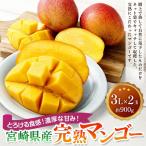 果物 くだものフルーツ アーウィン マンゴー