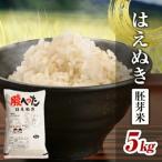SA3117 令和8年産 はえぬき 5kg