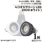 BN040 植物育成ライト ヘリオスグリーンLED
