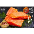 ふるさと納税 サーモン 500g 2-3パック 鳥取 琴浦グランサーモン 魚 国産サーモン 魚介類 陸上養殖サーモン 人気 サケ サーモン刺身 サーモン サ.. 鳥取県琴浦町
