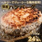燻製ハンバーグ24個:B135-008