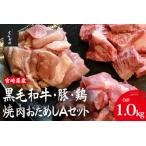 ふるさと納税 宮崎県産 牛・豚・鶏 焼肉おためしAセット 計1kg（牛肉 豚肉 鶏肉 和牛 焼肉 訳あり 小分け 食べ比べ） 牛肉豚肉鶏肉セット 牛肉豚.. 宮崎県小林市
