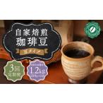 〈豆〉自家焙煎珈琲 1.2kg