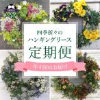 花 ハンギングリース リース 寄植え 定期便