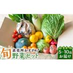 直売所 旬野菜セット 5~10品目 やさい