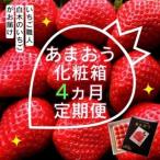 ふるさと納税 定期便 4ヶ月 いちご いちご職人 白木のいちご あまおう 化粧箱 1箱 4回 コース イチゴ 苺 果物 デザート お楽しみ ※配送不可:沖.. 福岡県小郡市