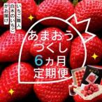 ふるさと納税 定期便 6ヶ月 いちご いちご職人 白木のいちご あまおうづくし 6回 コース イチゴ 苺 果物 デザート お楽しみ ※配送不可:沖縄・.. 福岡県小郡市