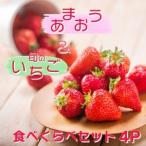 ふるさと納税 いちご いちご職人 白木のいちご 「あまおう2P」と「旬のいちご2P」 食べ比べ セット イチゴ 苺 果物 デザート ※配送不可:沖縄・.. 福岡県小郡市