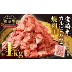 ふるさと納税 全部小分け真空パック!!「宮崎牛カルビ(バラ)焼肉用」計1kg 肉 牛 牛肉 おかず 国産_T041-0072 宮崎県都農町