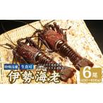伊勢海老 6尾