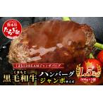 ビッグサイズ くまもと 黒毛和牛 牛肉 100%