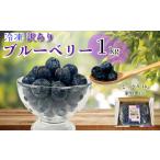 fu.... налог есть перевод рефрижератор голубика примерно 1kg голубика Tokushima префектура Komatsu остров город 