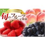 定期便 \フルーツ大国和歌山からお届け