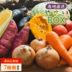 やさい 4回定期便 季節野菜セット Wyr-0036