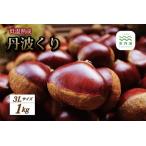 低温熟成 丹波くり 3Lサイズ 1kg