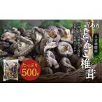 人吉球磨産 しいたけ 訳あり どんこ 椎茸 500g