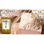 令和6年産 玄米 コシヒカリ 30kg