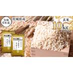 令和6年産 玄米 ミルキークイーン 10kg