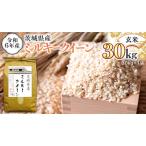 令和6年産 玄米 ミルキークイーン 30kg