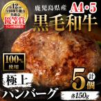黒毛和牛100%使用 極上ハンバーグ 計750g
