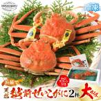 せいこがに 大 約200g