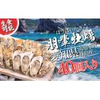 牡蠣 かき 生食用 冷蔵 40個