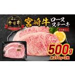 牛肉 ロース 宮崎牛ロースステーキ250g×2_M132-014-PU3
