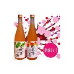 長崎梅酒のみくらべ 南高梅酒 古城梅酒 720ml