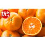 温州みかん 約3kg