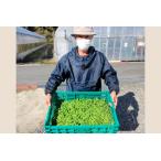 fu.... налог прекрасный . сельское хозяйство . зажим end u[ зажим end u1kg овощи end u бобы зеленый горошек закуска 1 месяц ~3 месяц отправка ] Shimane прекрасный . блок 