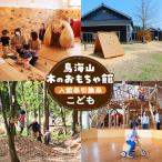 鳥海山 木のおもちゃ館 入館券引換券 こども