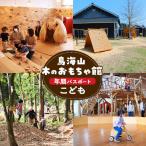 鳥海山 木のおもちゃ館 年間パスポート おとな