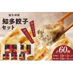 知多の梅しそ餃子 知多餃子セット 餃子食べ比べセット