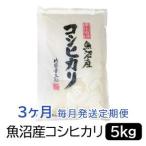 ふるさと納税 お米マイスター厳選!魚沼産コシヒカリ5kg×3ヶ月毎月発送 定期便 新潟県