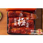 ふるさと納税 三河一色産うなぎ蒲焼特大3尾(計480g以上)・R008 愛知県西尾市