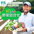 旬の野菜詰め合わせ 7~8種 野菜セット
