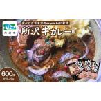 カレー ビーフカレー200g×3箱 ネゴンボ33監修