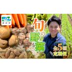 旬の野菜 定期便 計5回 野菜定期便Farm