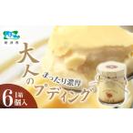 プリン 濃厚大人プディング 6個入