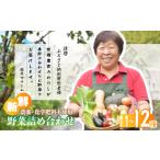 旬の野菜詰め合わせ 11~12種 野菜セット 詰め合わせ