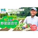 旬の野菜詰め合わせ 7~8種 野菜セット