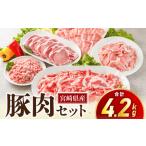 ふるさと納税 宮崎県産豚肉セット 宮崎県宮崎市