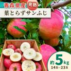 りんご 訳あり サンふじ 5kg