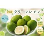 グリーンレモン 3kg