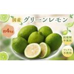 グリーンレモン 4kg